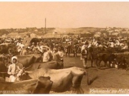 Уникальное фото. Рынок домашнего скота в Мелитополе
