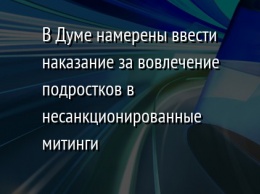 В Думе намерены ввести наказание за вовлечение подростков в несанкционированные митинги