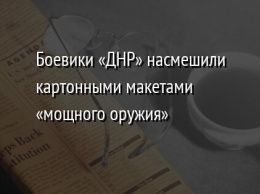 Боевики «ДНР» насмешили картонными макетами «мощного оружия»