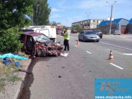 В Запорожской области "Жигули" лоб в лоб столкнулись с грузовым микроавтобусом - есть погибшие (Фото)