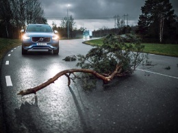 Легковые и грузовые Volvo будут общаться между собой