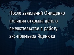 После заявлений Онищенко полиция открыла дело о вмешательстве в работу экс-премьера Яценюка