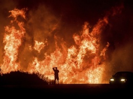 В Днепре объявлен наивысший уровень пожароопасности