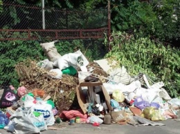 Труханов хочет поднять городской тариф на вывоз мусора