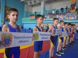 В Николаеве завершился Чемпионат Украины по вольной борьбе, приуроченный к годовщине Великой Победы