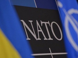 Украинцы будут помогать НАТО находить взрывчатые вещества