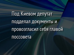 Под Киевом депутат подделал документы и провозгласил себя главой поссовета