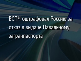 ЕСПЧ оштрафовал Россию за отказ в выдаче Навальному загранпаспорта