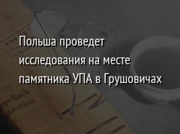 Польша проведет исследования на месте памятника УПА в Грушовичах