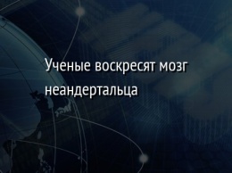 Ученые воскресят мозг неандертальца