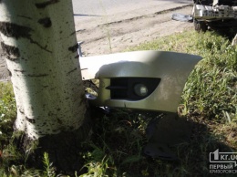 ДТП на Днепропетровщине: водитель уснул и протаранил дерево
