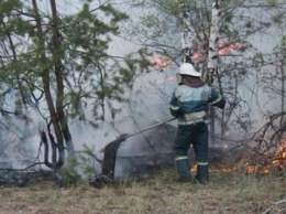Спасатели объявили высокий уровень пожарной опасности в Чернобыльской зоне
