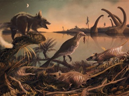 Ученые выяснили, что ели предки людей во времена динозавров