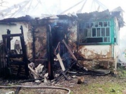 В Черниговской области 5-летний ребенок случайно поджег дом