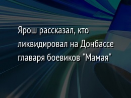 Ярош рассказал, кто ликвидировал на Донбассе главаря боевиков "Мамая"