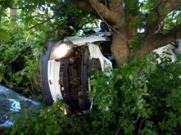Под Николаевом микроавтобус NISSAN слетел в кювет и врезался в дерево, пять жертв