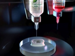 Ученые создали 3D-гель для изготовления искусственных органов
