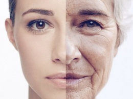 Ученые назвали возраст начала старения