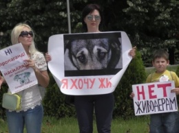 В Запорожье митинговали против издевательства над животными (ФОТО)