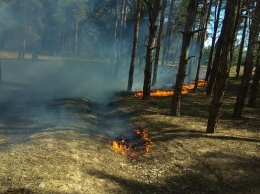 За минувшие сутки спасатели погасили два пожара лесных массивов в Николаевской области