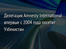 Делегация Amnesty International впервые с 2004 года посетит Узбекистан