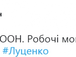 Луценко добрался до Нью-Йорка и рассказал с трибуны ООН о главном коррупционере