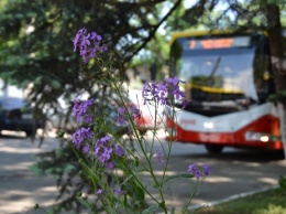 6 новых троллейбусов прибыли в Одессу. Фото