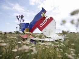 Крушение MH17: следственная группа сделает публичное заявление