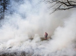 В Канаде бушует масштабный пожар: людей массово эвакуируют