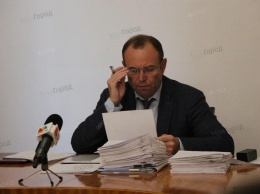 Первый вице-мэр Николаева раскритиковал департамент ЖКХ, который до сих не пор не обрезал аварийные ветки на ул. Потемкинской
