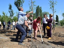 Саженцы сакуры высадили в столичном парке Гагарина