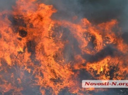 В пригороде Николаева загорелась мусорная свалка