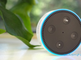 Amazon Echo умеют подслушивать своих владельцев