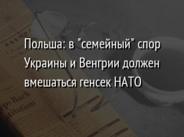 Польша: в "семейный" спор Украины и Венгрии должен вмешаться генсек НАТО