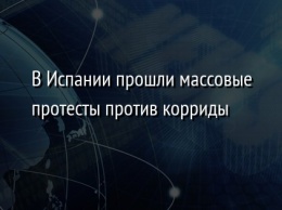 В Испании прошли массовые протесты против корриды