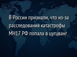 В России признали, что из-за расследования катаcтрофы MH17 РФ попала в цугцванг