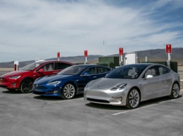 Илон Маск назвал дату выхода Tesla Model Y