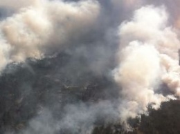 В Херсонской области вновь вспыхнул лесной пожар: пламя охватило 100 га площади