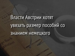 Власти Австрии хотят увязать размер пособий со знанием немецкого