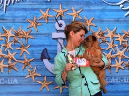 «Уши, лапы, хвост»: в Черноморске прошли международные выставки собак