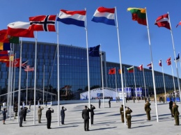 В НАТО потребовали быстрого разрешения "языкового" спора Украины и Венгрии