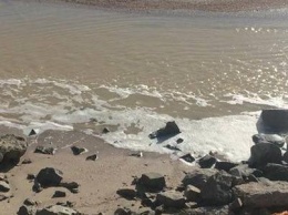 Активисты грозят устроить «пляж под облсоветом» из-за ситуации в Молочном лимане