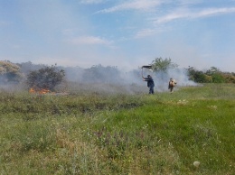 На Николаевщине за прошедшие сутки 6 раз возникали пожары сухой травы