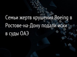 Семьи жертв крушения Boeing в Ростове-на-Дону подали иски в суды ОАЭ