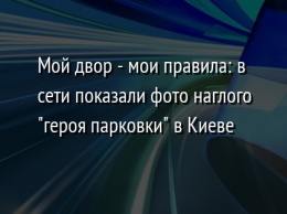 Мой двор - мои правила: в сети показали фото наглого "героя парковки" в Киеве