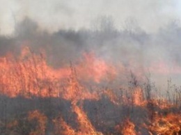 В Донецкой области объявлен 5-й класс пожароопасности