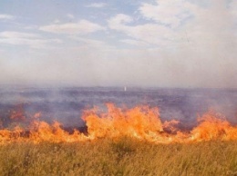 Из-за засухи в регионе начался "сезон" пожаров