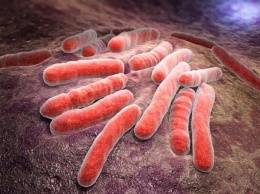 Выявлены особенности метаболизма туберкулезной бактерии