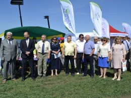 В николаевской «Аграрке» отметили Международный день поля