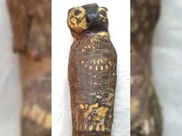 Ученые нашли тело ребенка внутри древнеегипетской мумии "сокола"